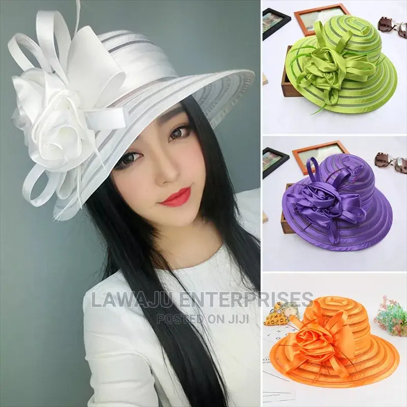 Ladies Elegant Stylish Hats