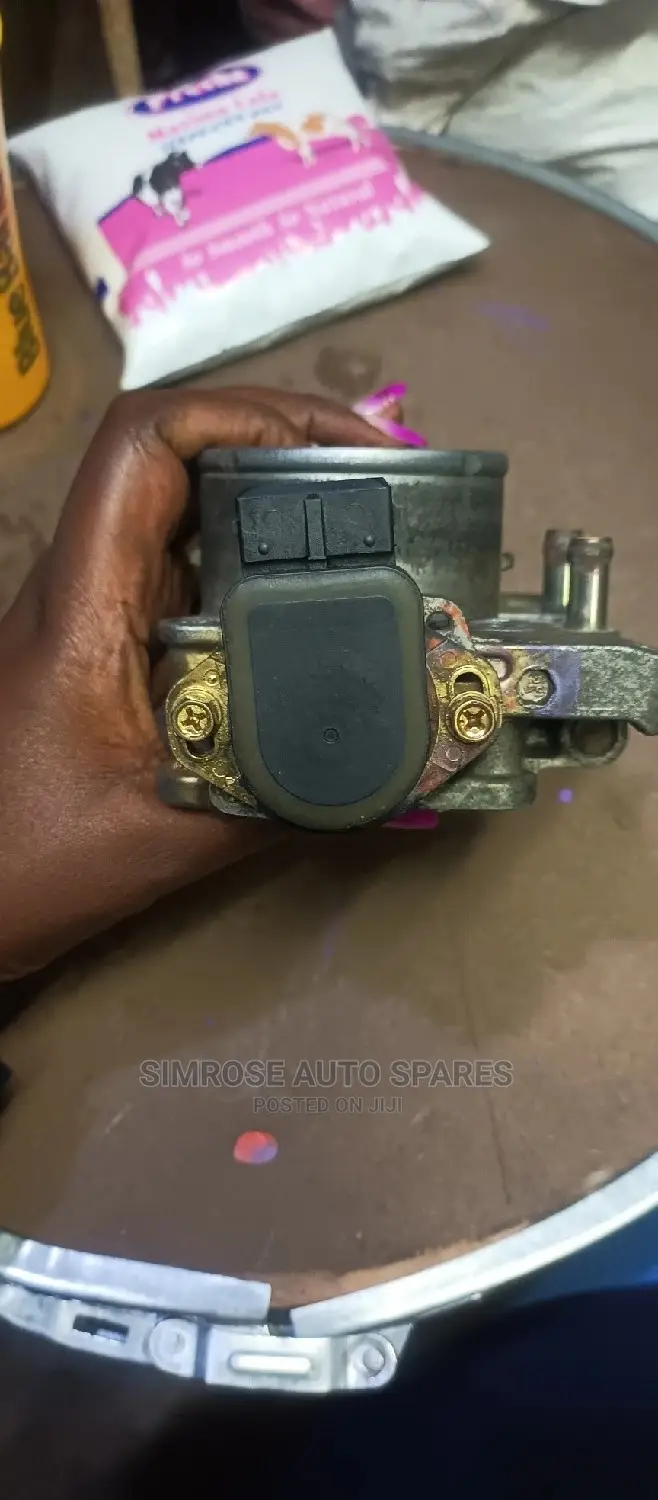 Mitsubishi Shogan Throttle Body.