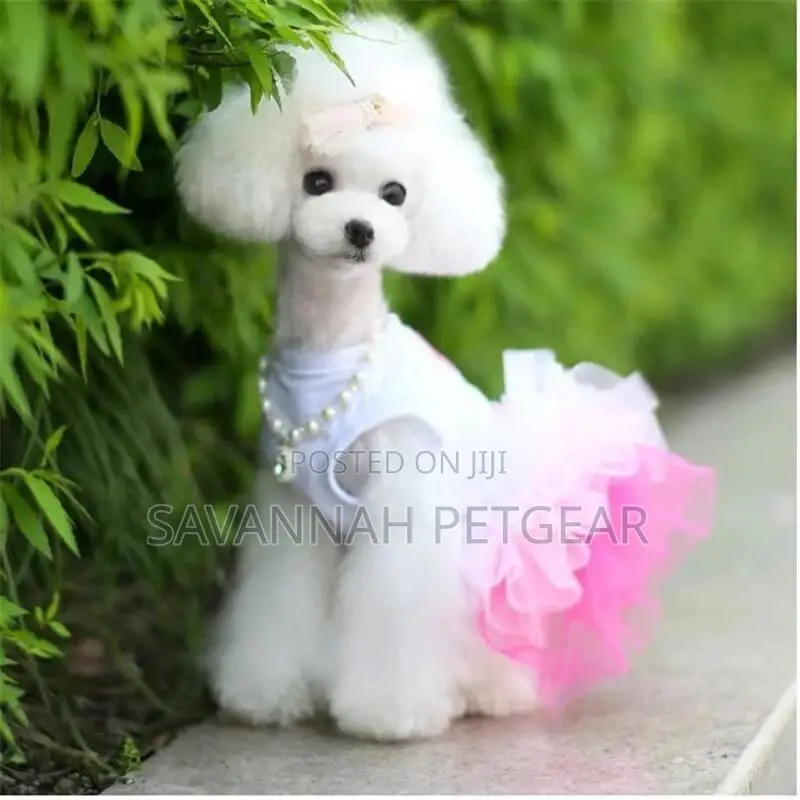 Kiss Me Lace Dog Dress, for Cats Dogs