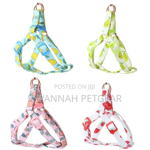 Autumn Fruits Step in Back Clip Dog Harness Leash