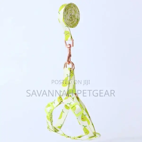 Autumn Fruits Step in Back Clip Dog Harness Leash