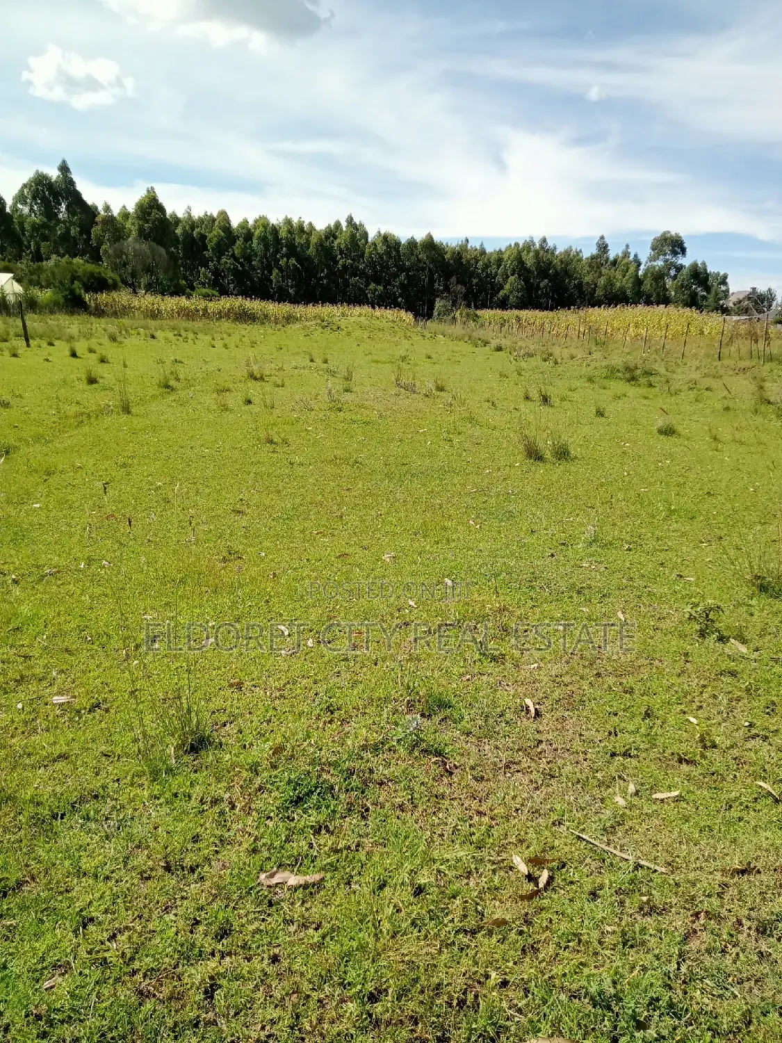 1/2 Acre Rolyton Near Madonna With Title