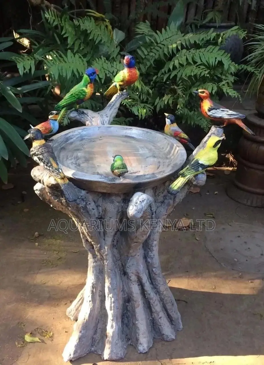 Birds Bath Feeder and Drinker
