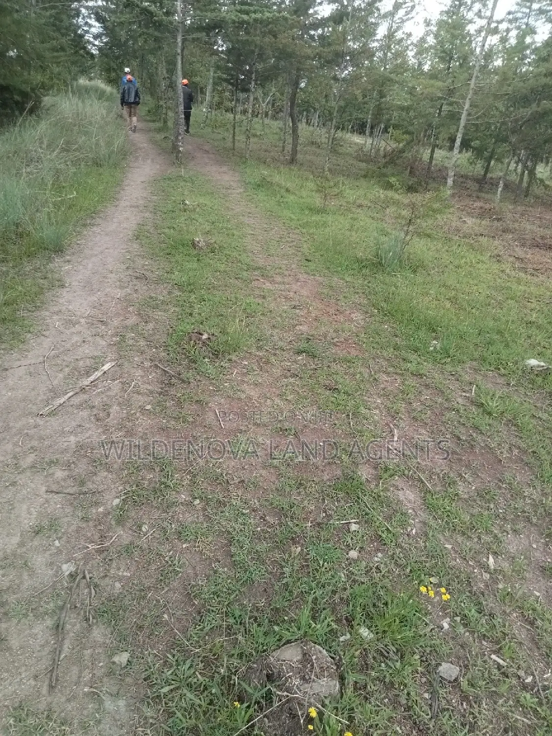 5 Acres on Sale at Kinangop Murungaru