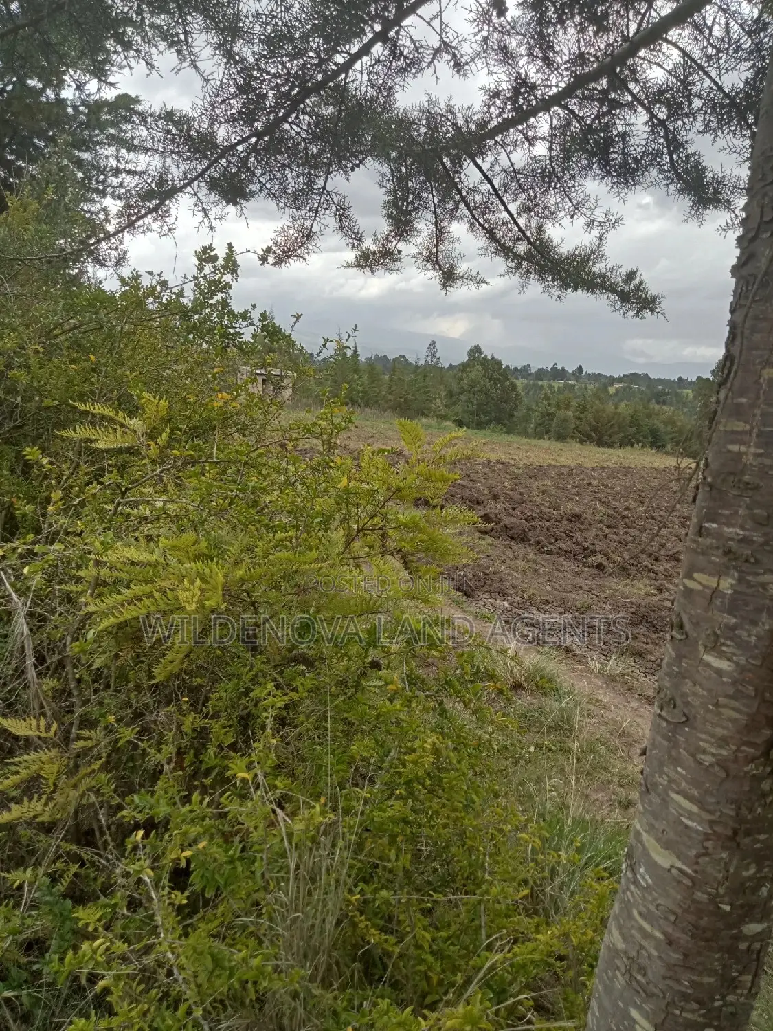 5 Acres on Sale at Kinangop Murungaru