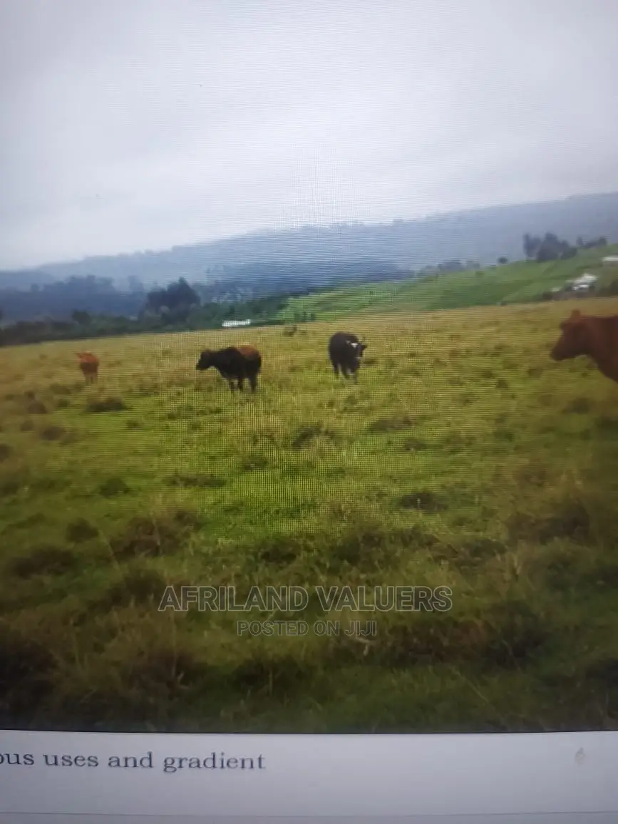 Land for Sale in Karunga Area (Gilgil)