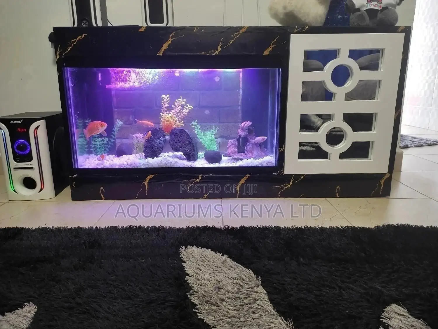 Complete 2ft Tank With Aquarium Cabinet