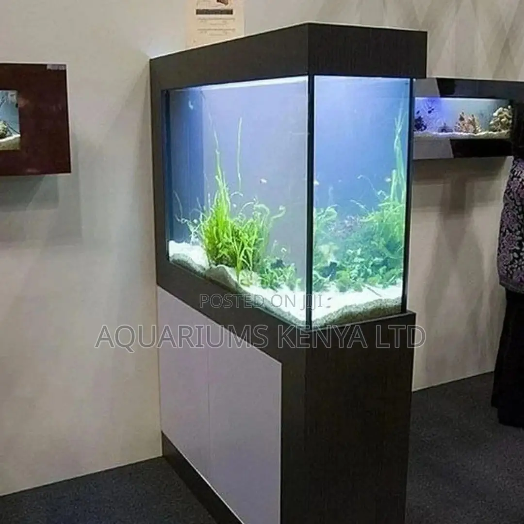 Aquarium Room Separator, Complete Aquarium