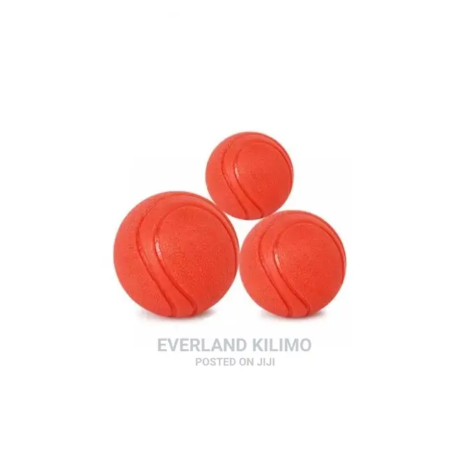 Dog Toy Balls / Fetch Balls