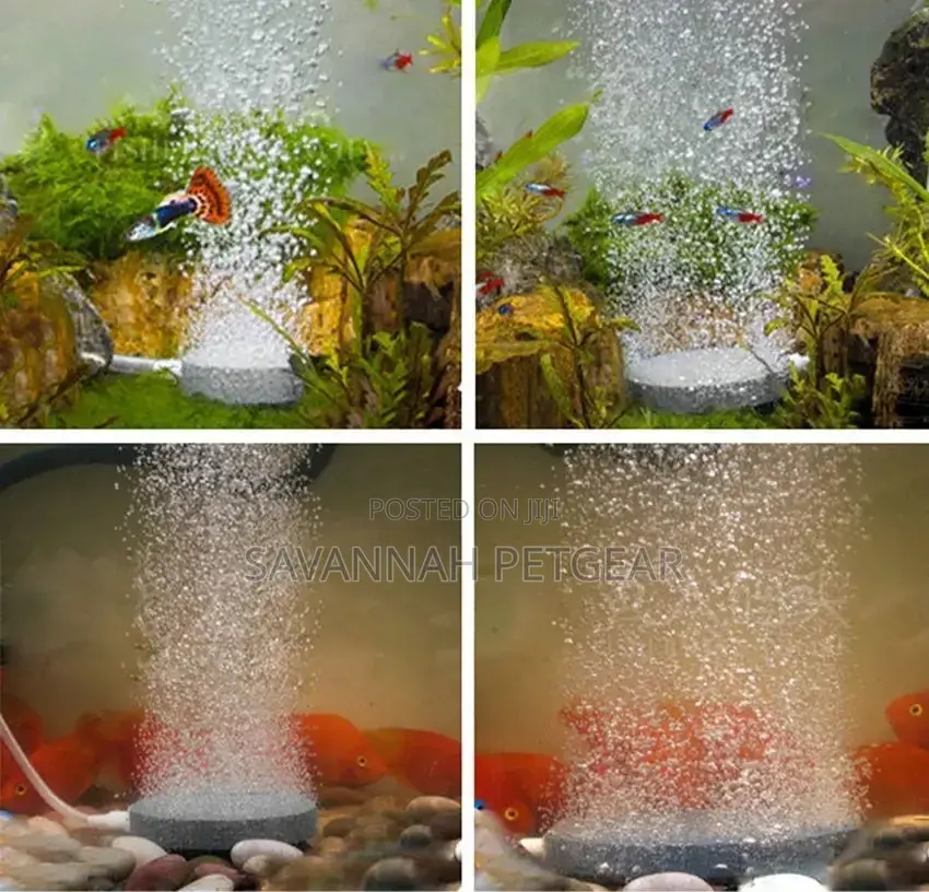 Bubble Disk Sintered Air Stone for Aquariums