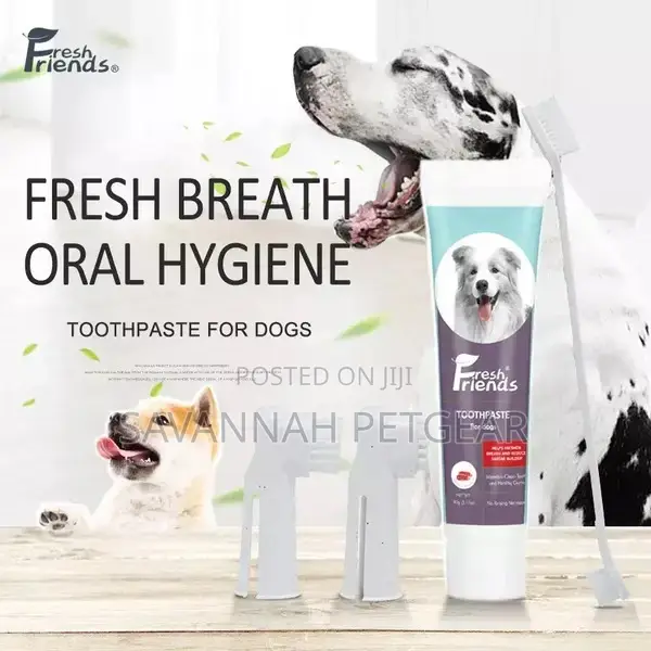 Bio-Enzymatic Beef Flavored Dog Toothpaste Toothbrush Set