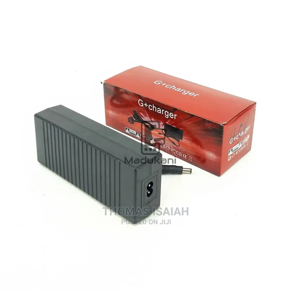 48V 2A DC G+ Power Adapter Charger With 2 Pin Plug Inlet