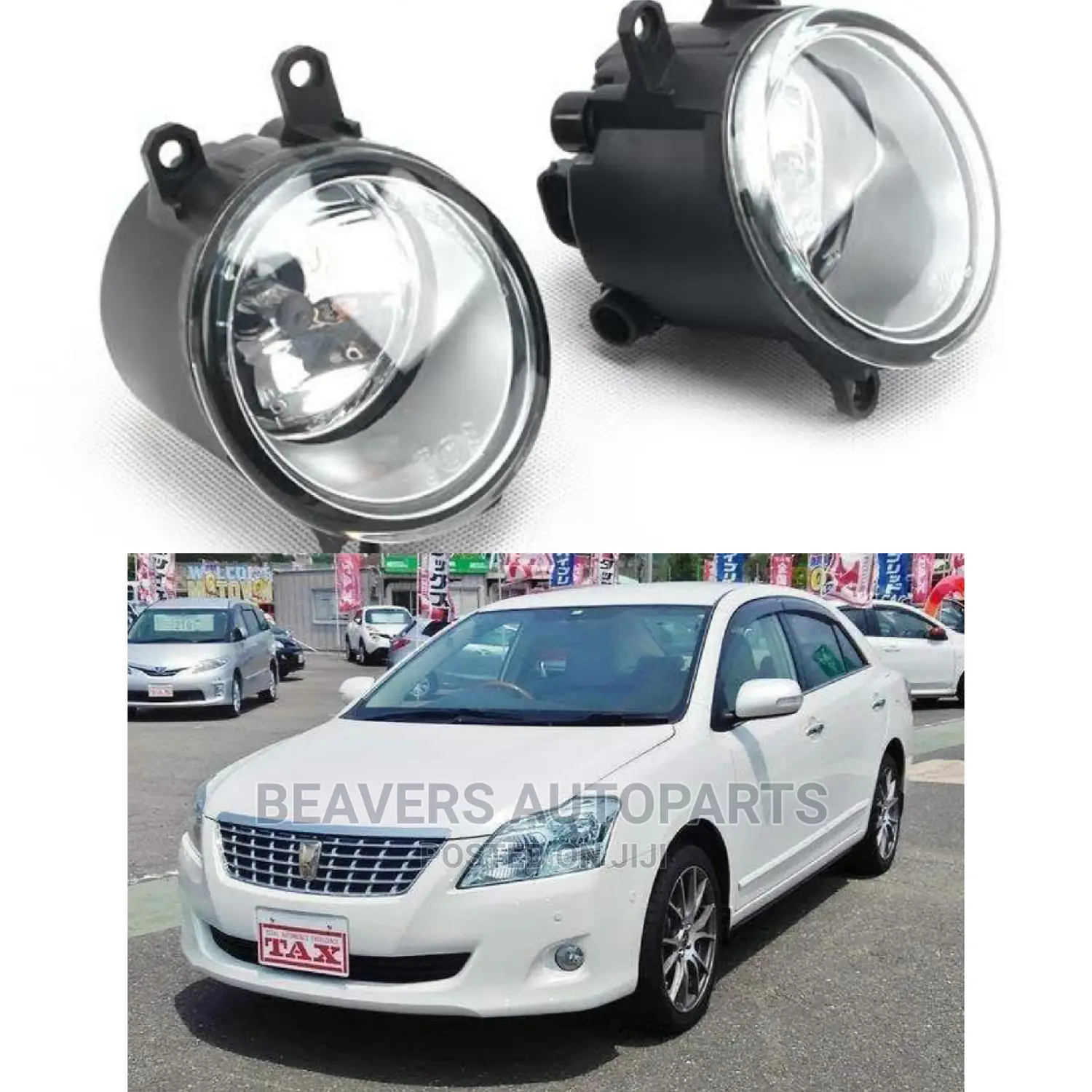 Premio 260 Foglight