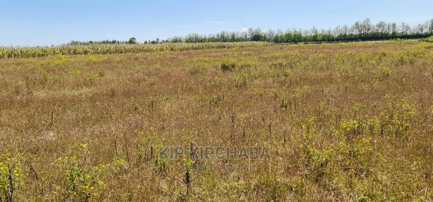 1⁄4 Plots for Sale in Kimumu Marura Near Highway in Eldoret