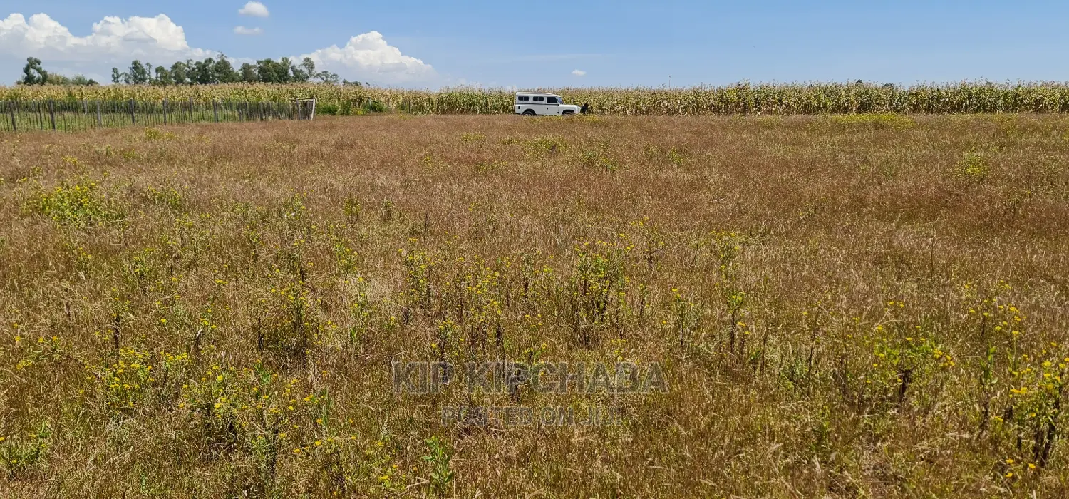 1⁄4 Plots for Sale in Kimumu Marura Near Highway in Eldoret