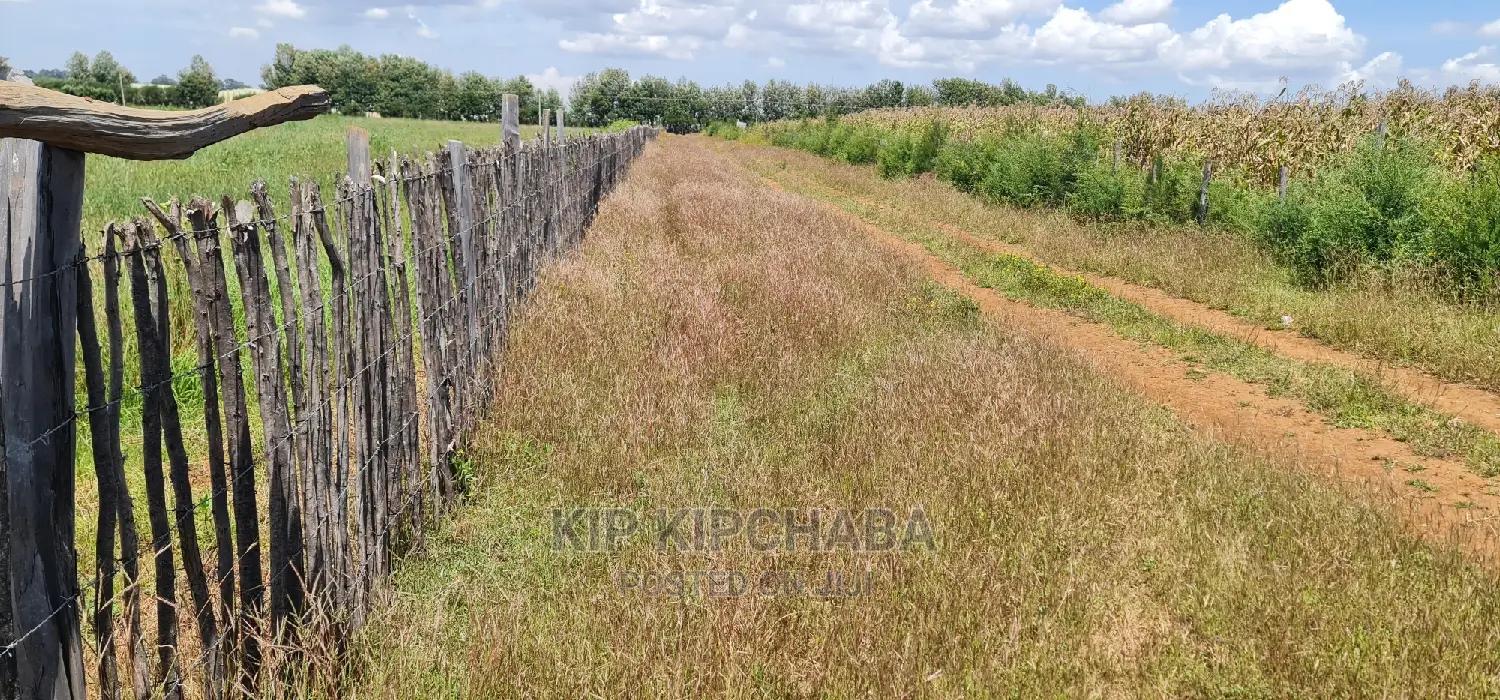 1⁄4 Plots for Sale in Kimumu Marura Near Highway in Eldoret