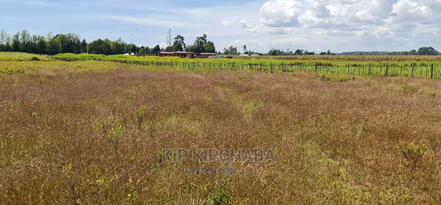 1⁄4 Plots for Sale in Kimumu Marura Near Highway in Eldoret
