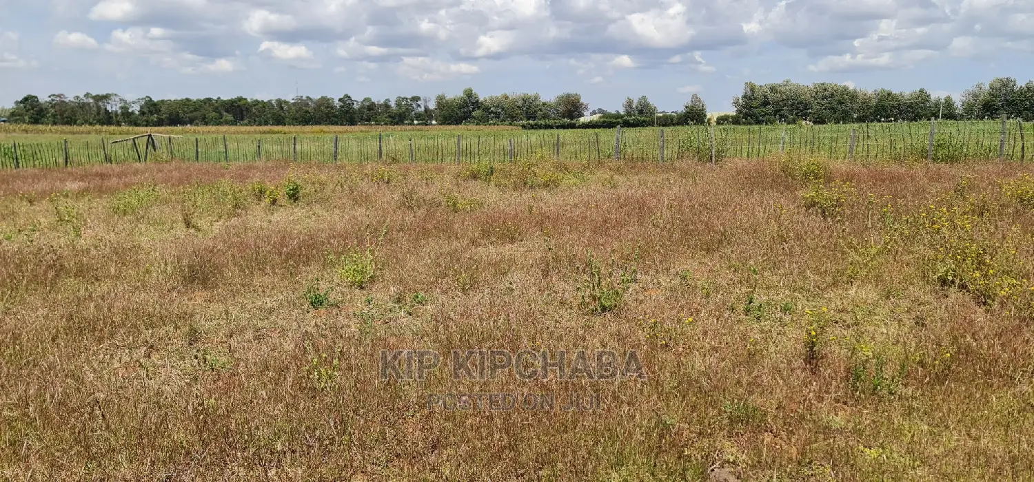 1⁄4 Plots for Sale in Kimumu Marura Near Highway in Eldoret