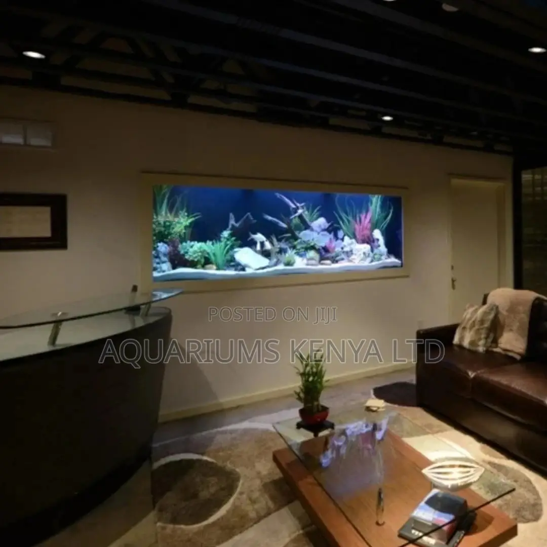 Reception Wall Aquariums, Interior Designed Aquariums