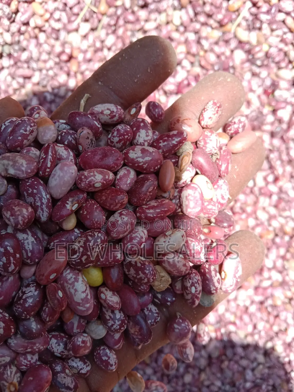 Beans On Sale ( Wairimu,Saitoti, Nyayo And Rose Coco)