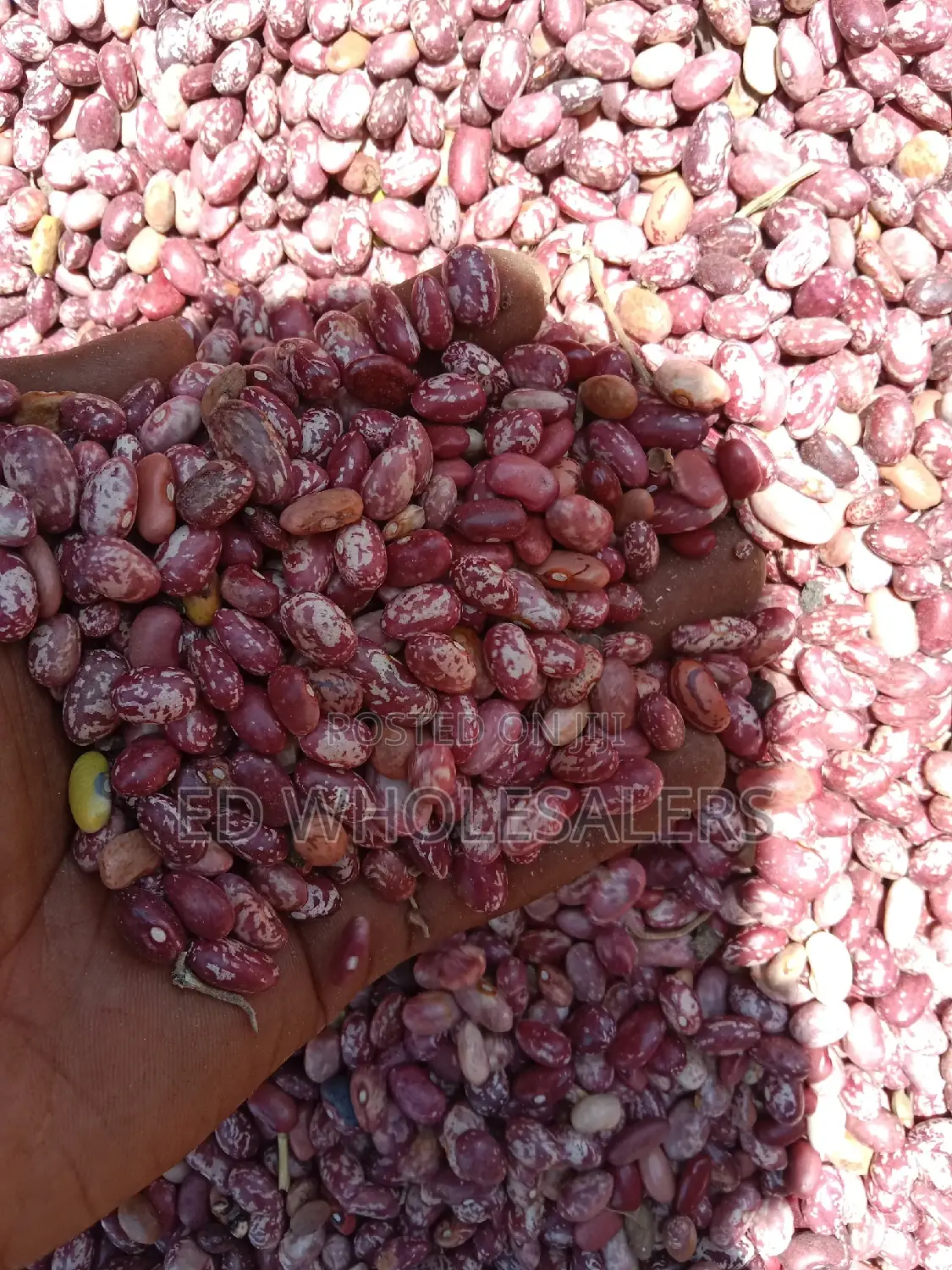 Beans On Sale ( Wairimu,Saitoti, Nyayo And Rose Coco)