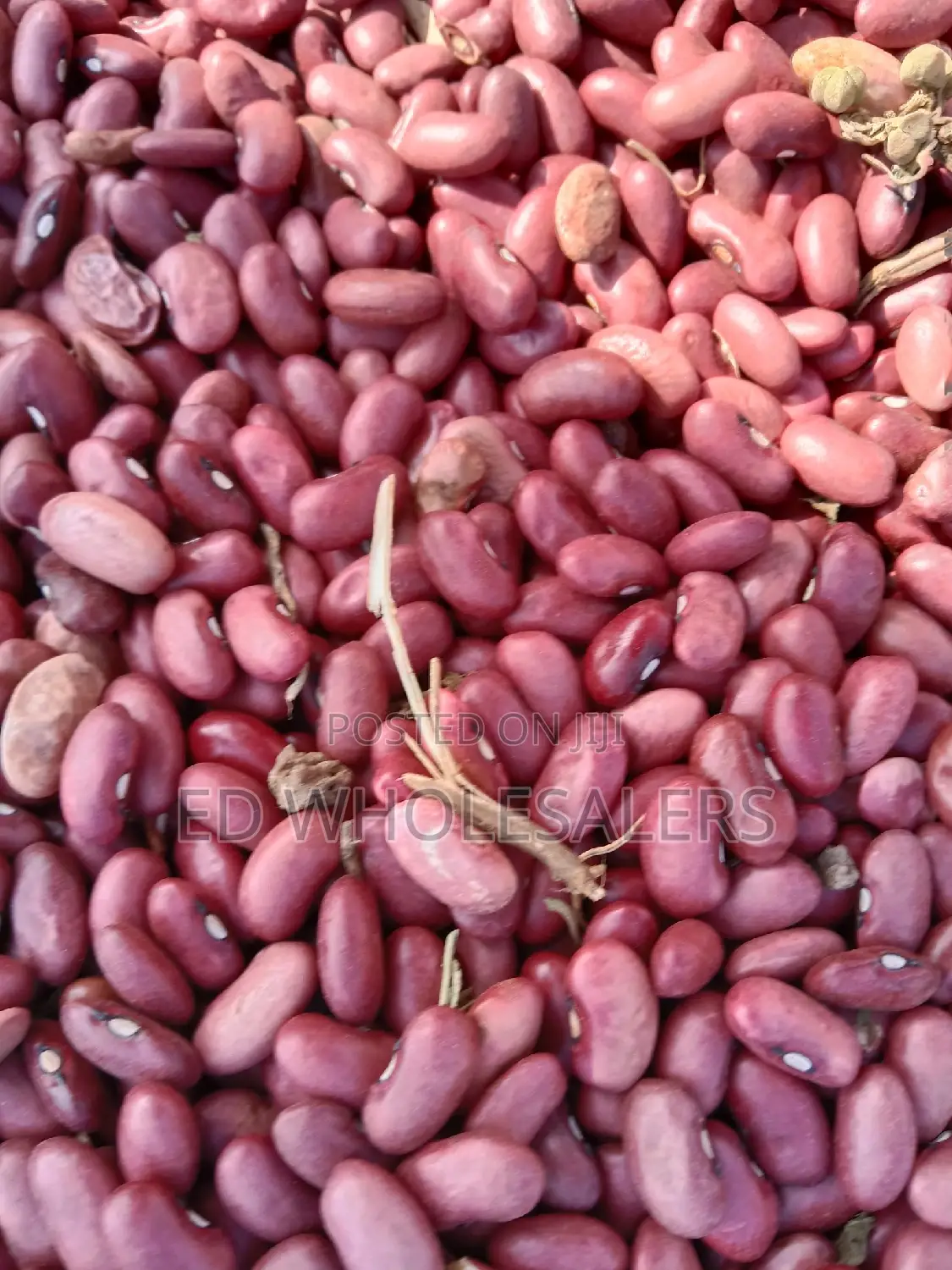 Beans On Sale ( Wairimu,Saitoti, Nyayo And Rose Coco)