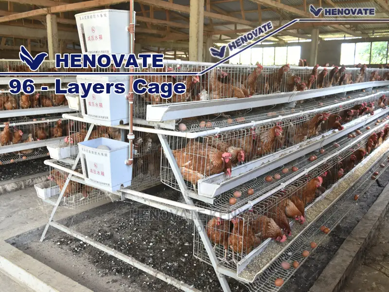 Chicken Layers Cage for 96 Birds