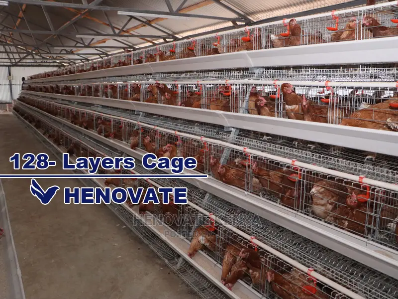 128 Birds Chicken Layers Cage