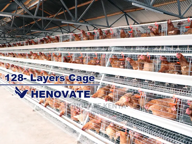 128 Birds Chicken Layers Cage