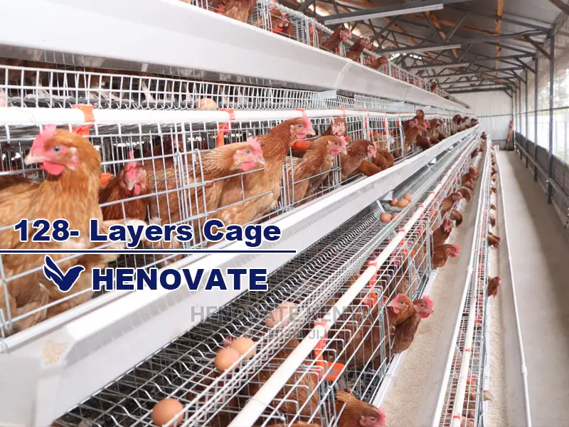 128 Birds Chicken Layers Cage