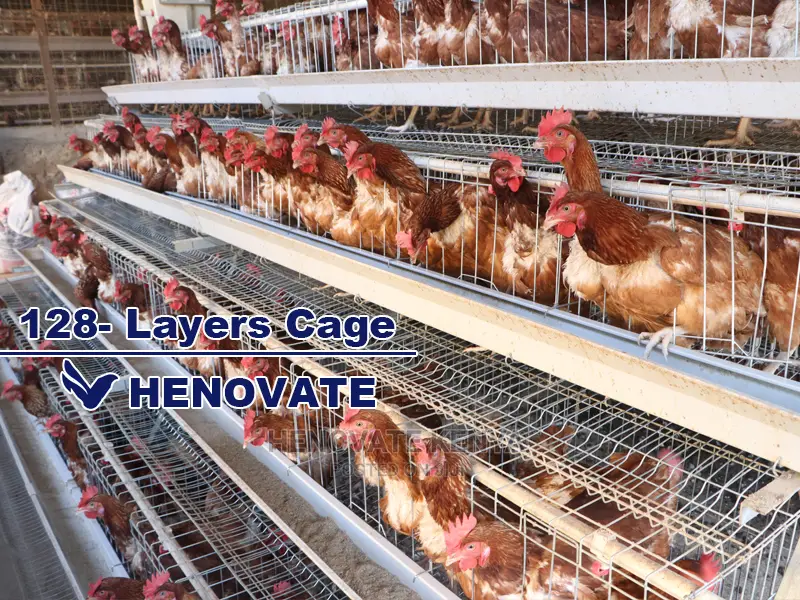 Chicken Layers Cage for 128 Birds