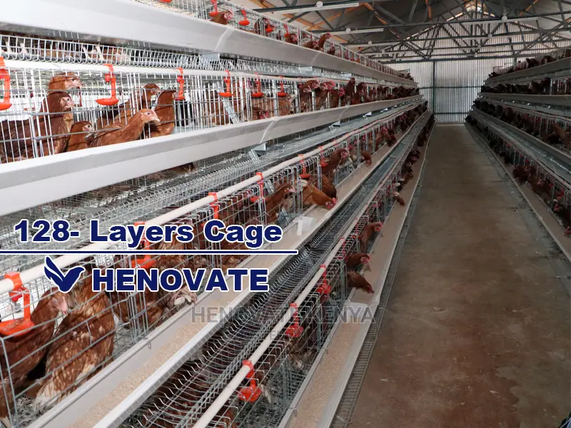 Chicken Layers Cage for 128 Birds