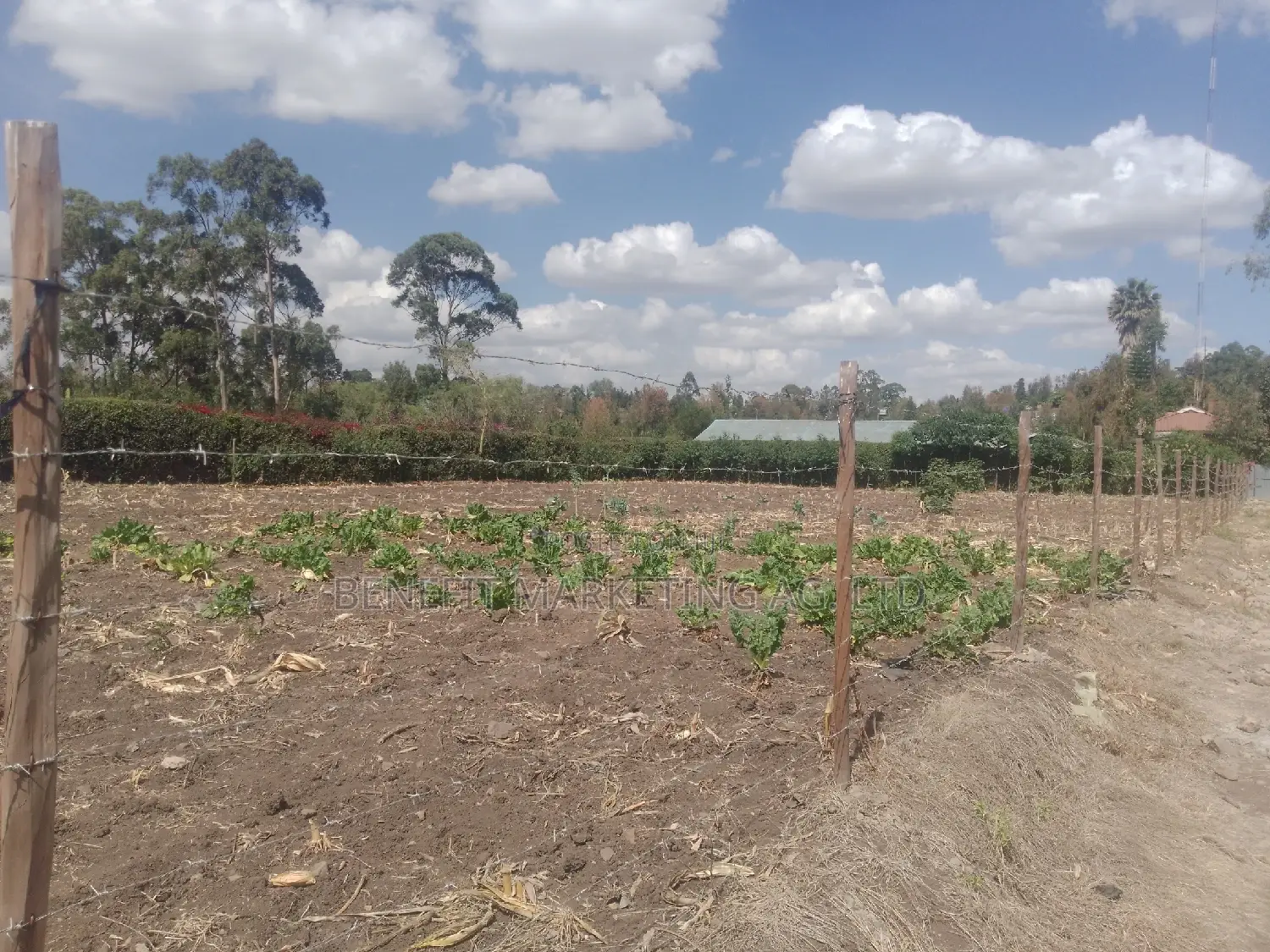 Ngong, Matasia, Memusi Road. 3⁄4 Acre Plots for Sale.