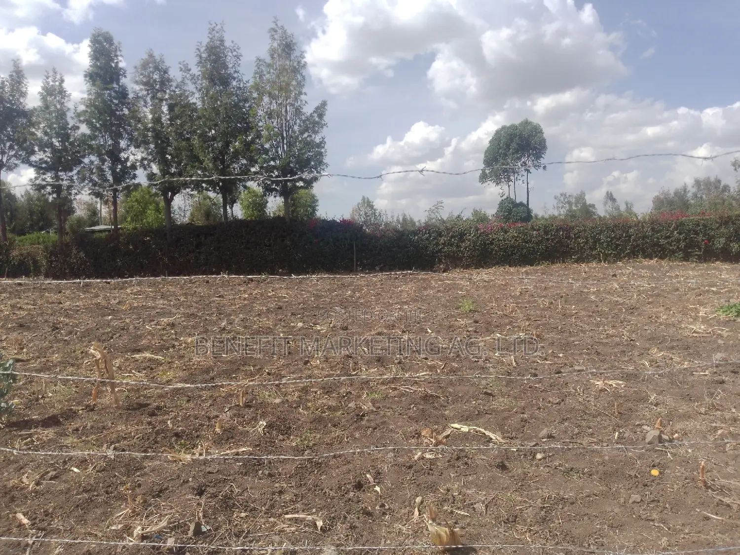Ngong, Matasia, Memusi Road. 3⁄4 Acre Plots for Sale.