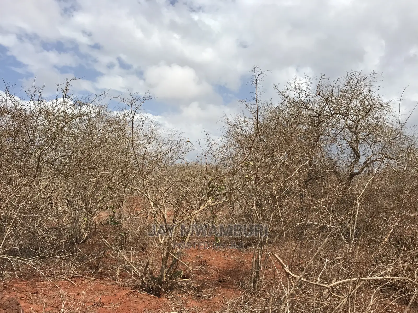 10 Acre Land Malindi1