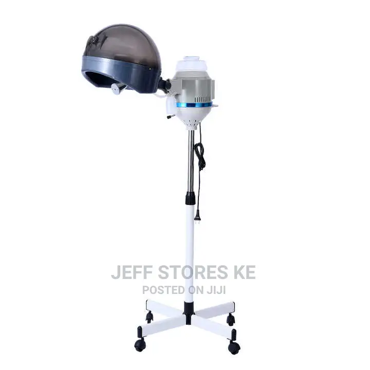 Stand Hair Steamer