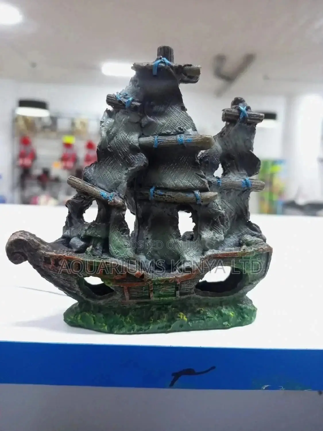 Small Wrecked Aquarium Ship