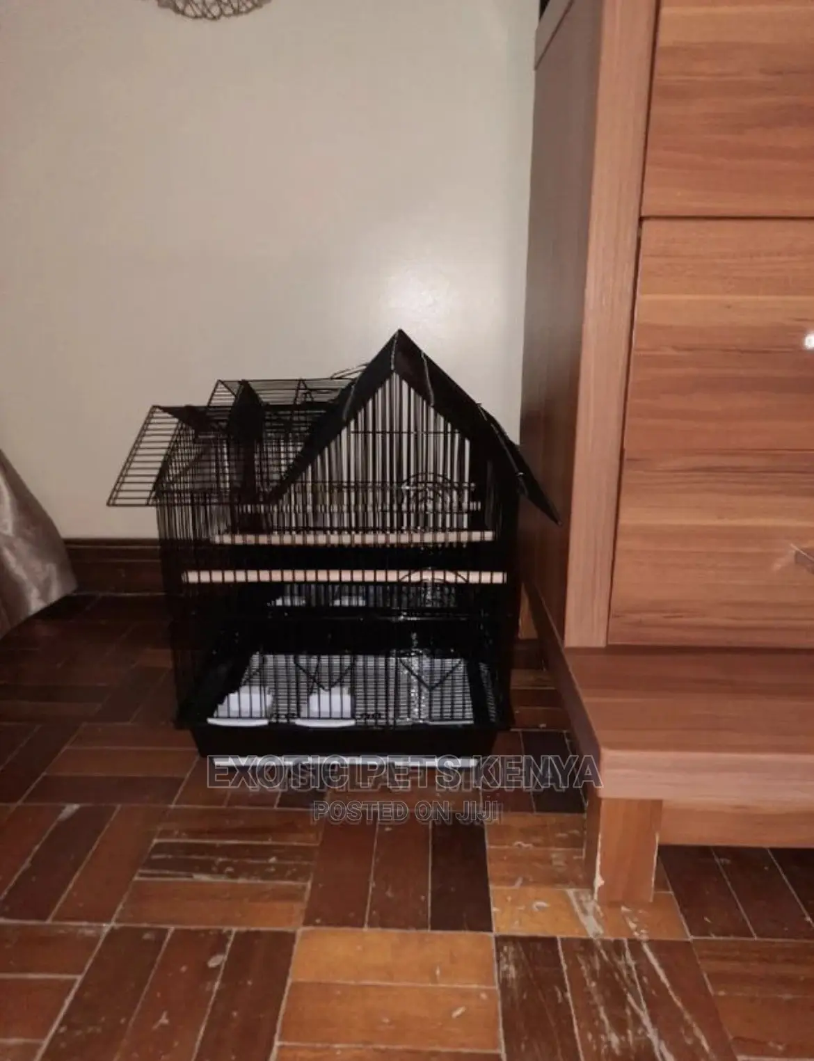 Cages for Birds