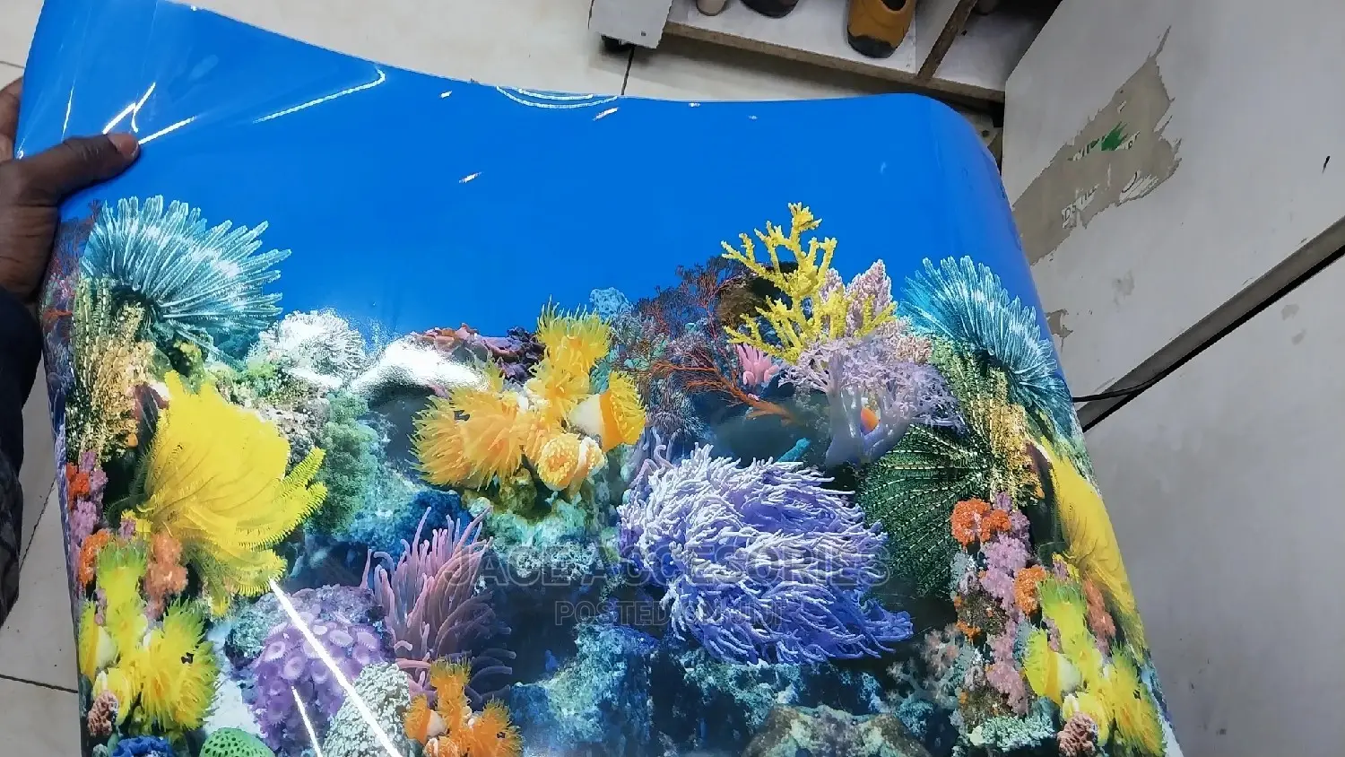 Acquarium Backgrounds