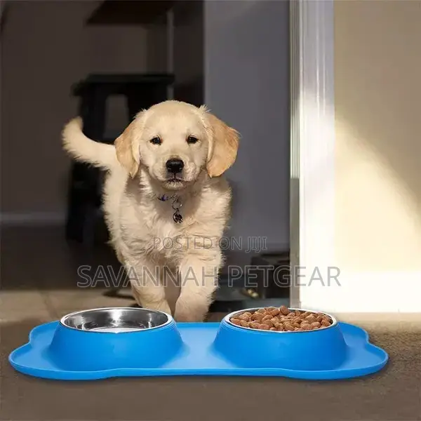 Pet-Icon Double Stainless Steel Pet Bowl With Silicone Mat