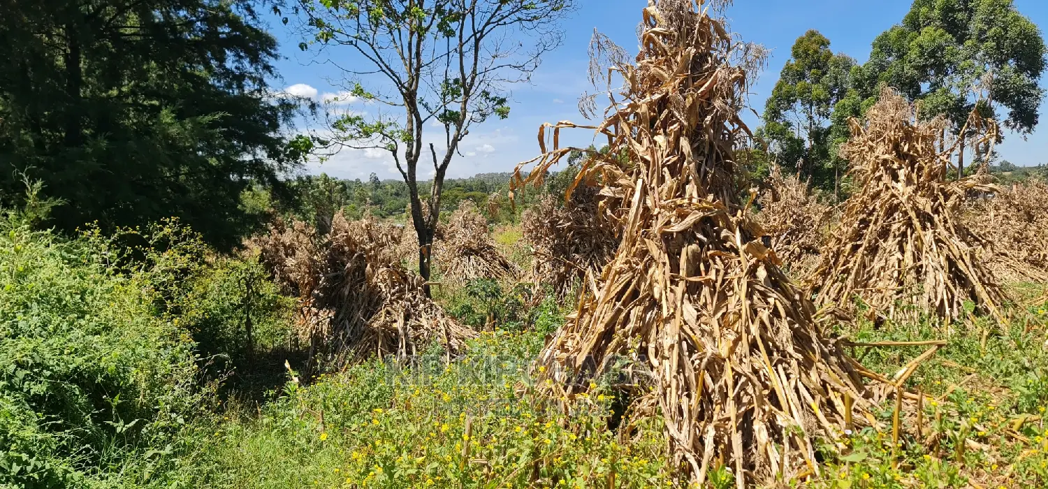 7 Acres With Homestead for Sale Mlango Kapseret Eldoret