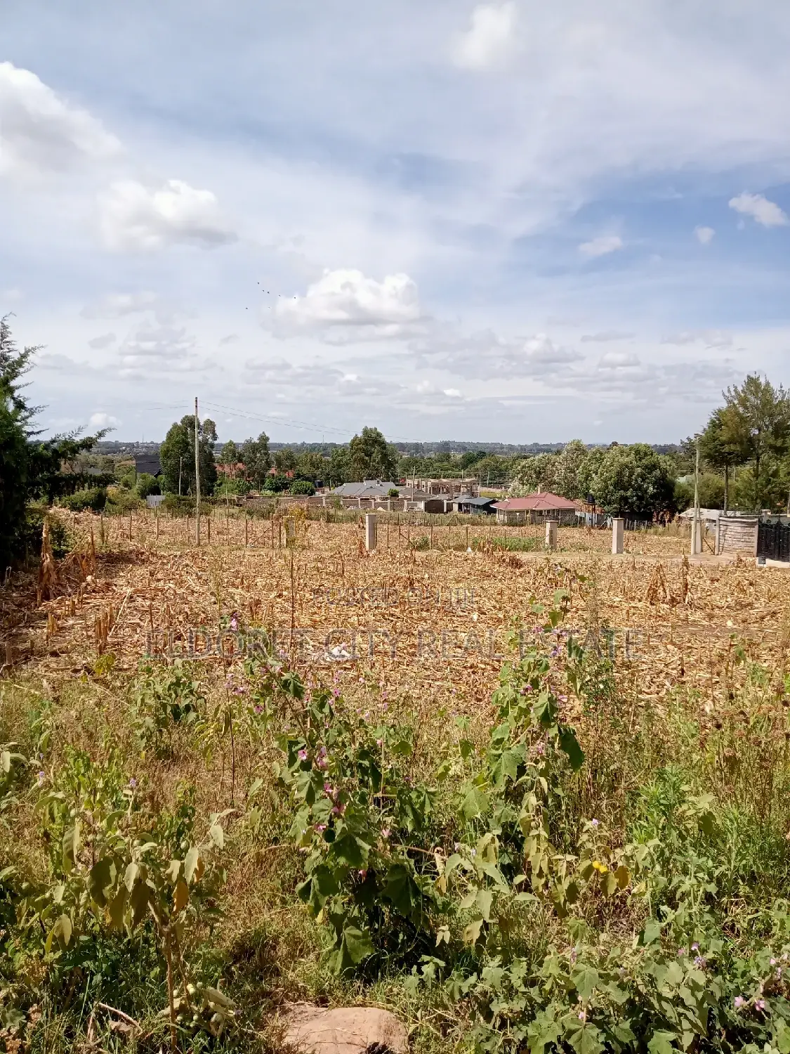1/4 Plots Hillside Nean Kenmosa