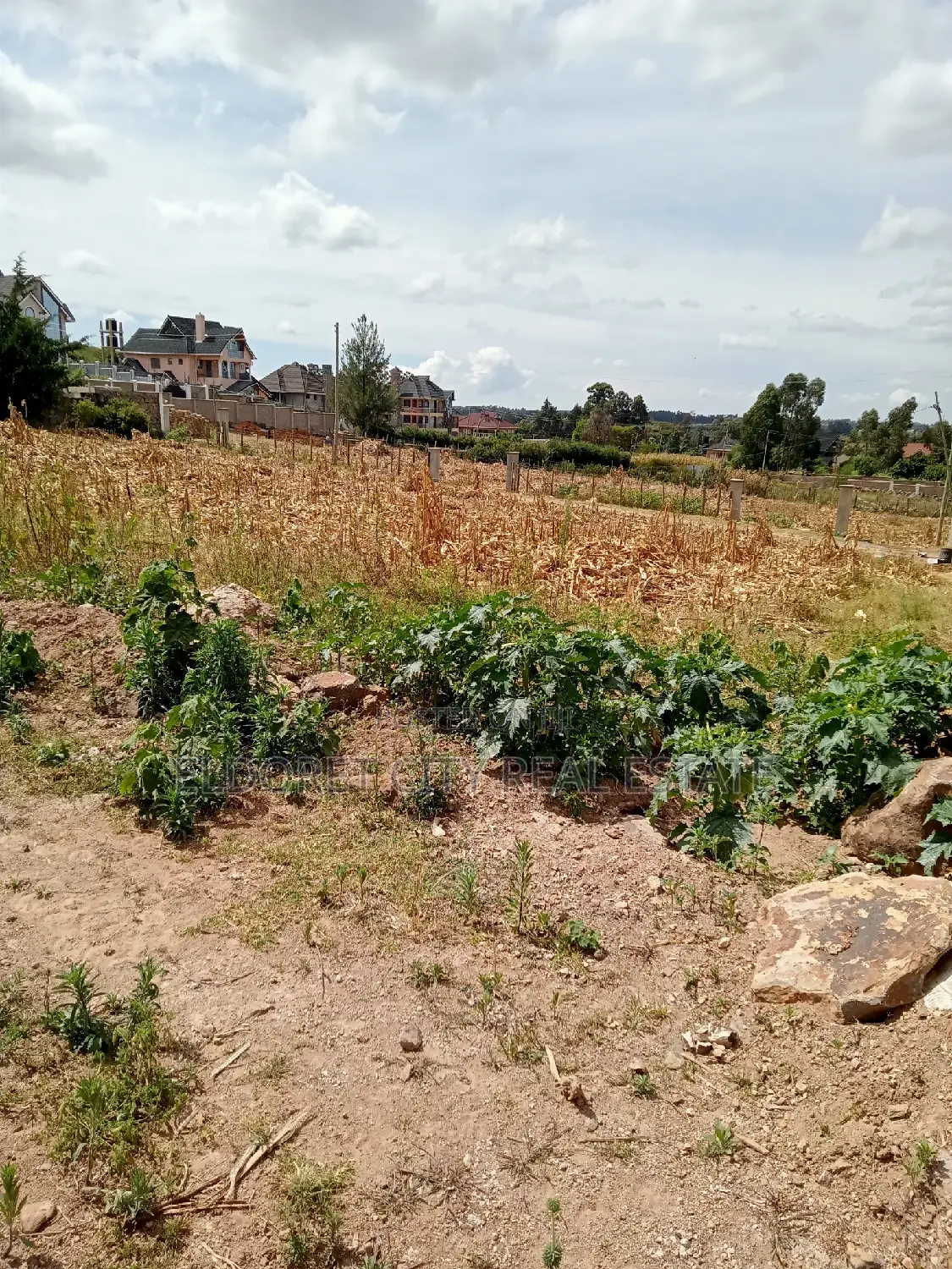 1/4 Plots Hillside Nean Kenmosa
