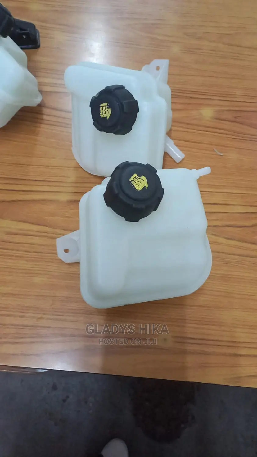 Radiator Coolants for Dualis