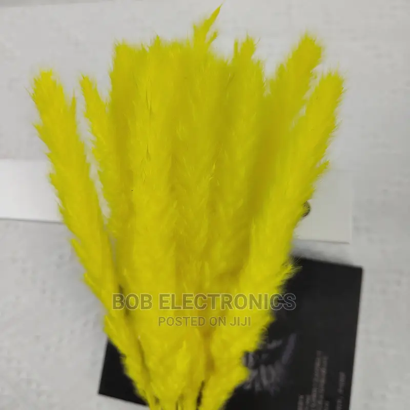 Colored Mini Pampas Grass