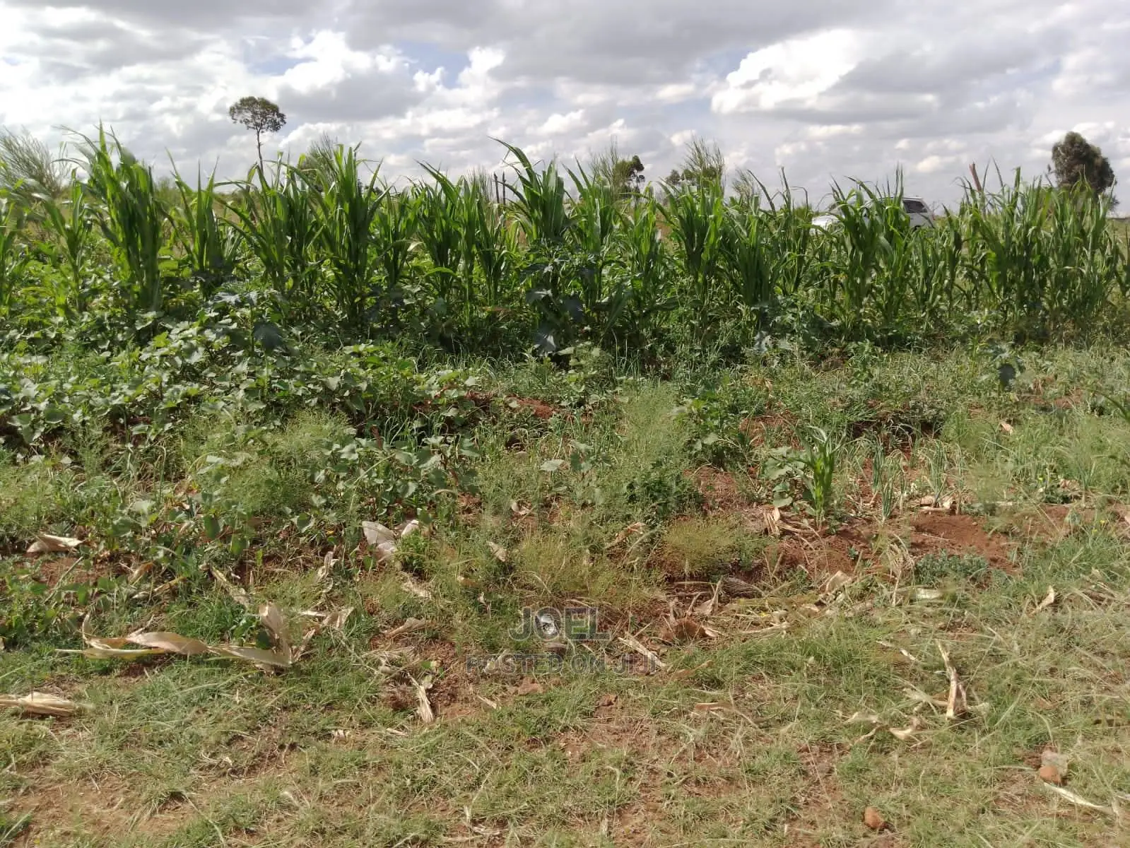 Matuu 5 Acres Land