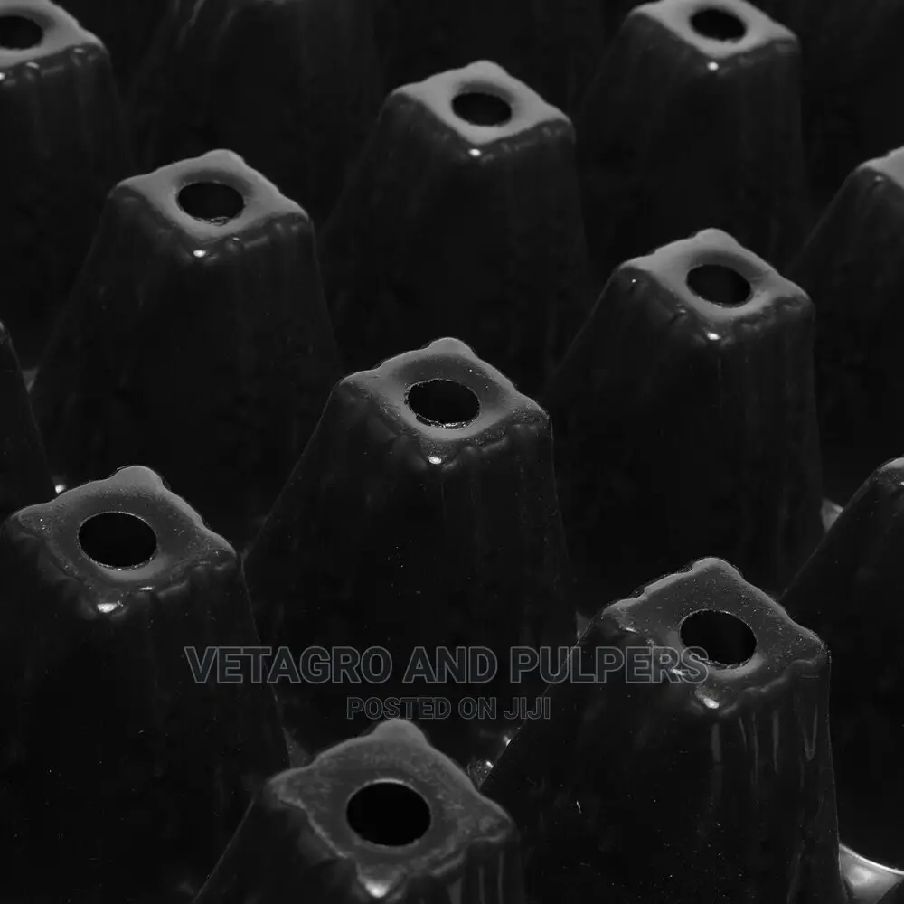 Seedling Tray Starter Germination Plant Propagation
