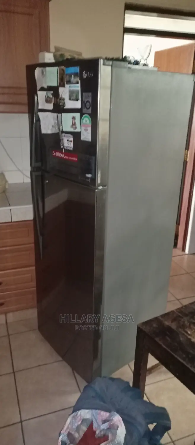Fridge Repair Services