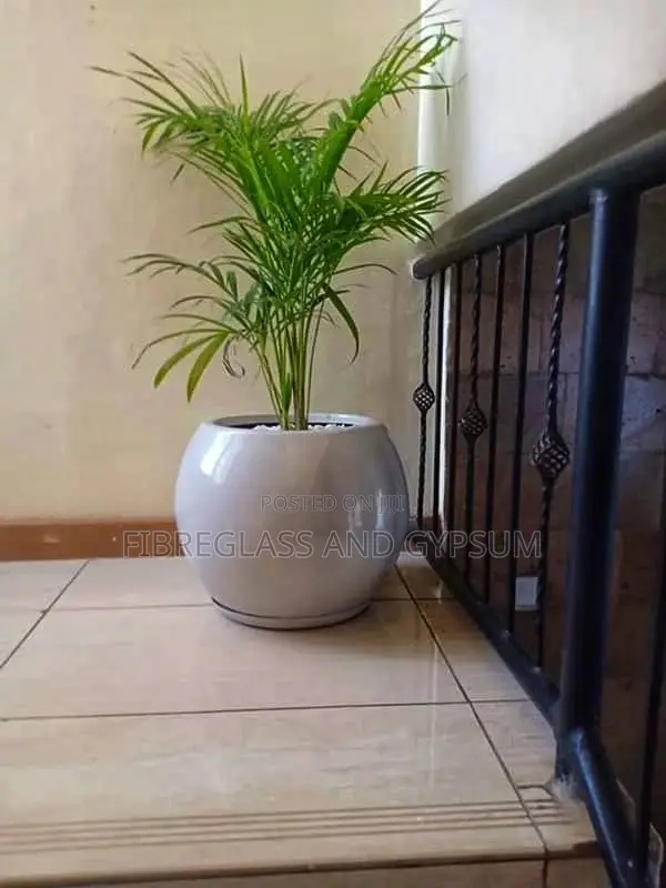 Round 26 Fibre Pot Complete With Palm Plant