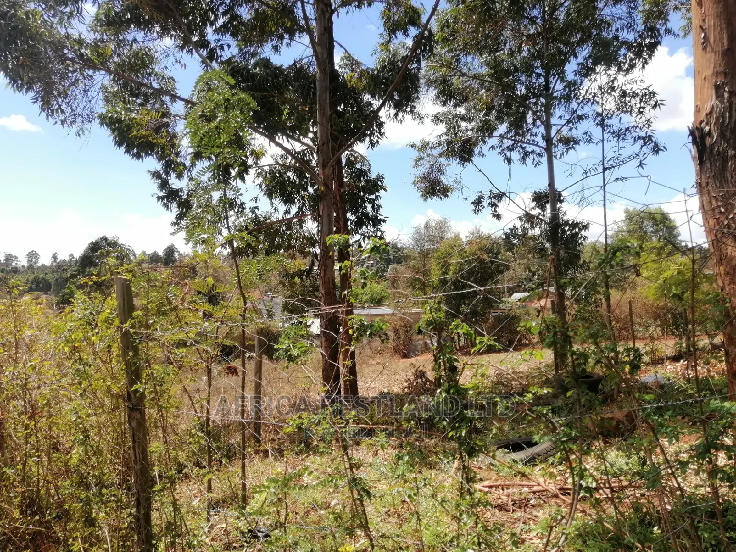 50x100 Residential Plot for Sale in Kikuyu Kamangu